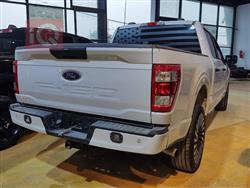 فۆرد F-150